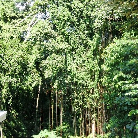 Latugu Homestay Ubud Екстер'єр фото