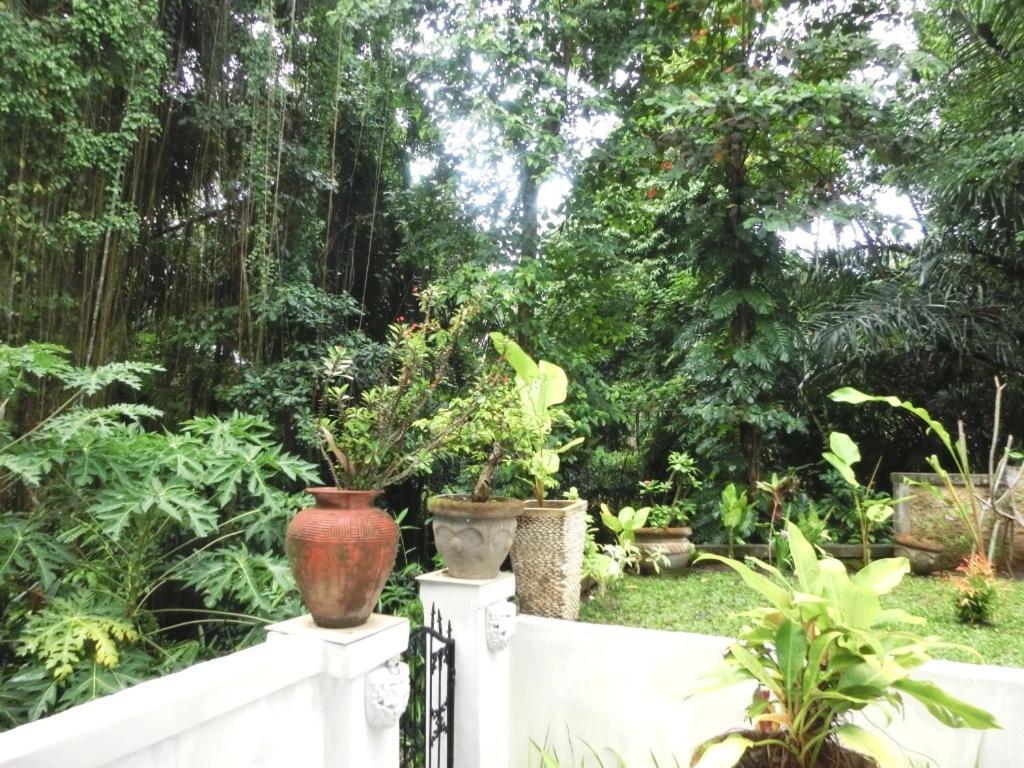 Latugu Homestay Ubud Номер фото